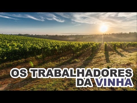 The Meaning of the Parable of the Workers in the Vineyard