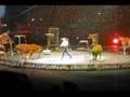 Ringling Bros Circus
