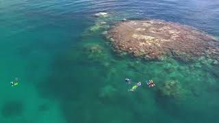 Study Agriculture and Environmental Sciences