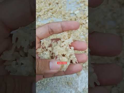 Nasi basi jangan dibuang karena banyak manfaatnya #karak #nasiaking