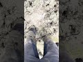 Clay Pit Mudhole With Riding Pants Jodhpurs 02