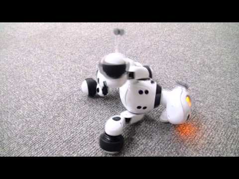 Ｈｅｌｌｏ！Ｚｏｏｍｅｒ (ハローズーマー) 　あおむけ編