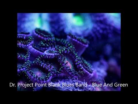 Dr. Project Point Blank Blues Band - Blue And Green