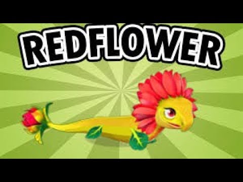 How to get: Redflower Dragon - Dragon Mania Legends