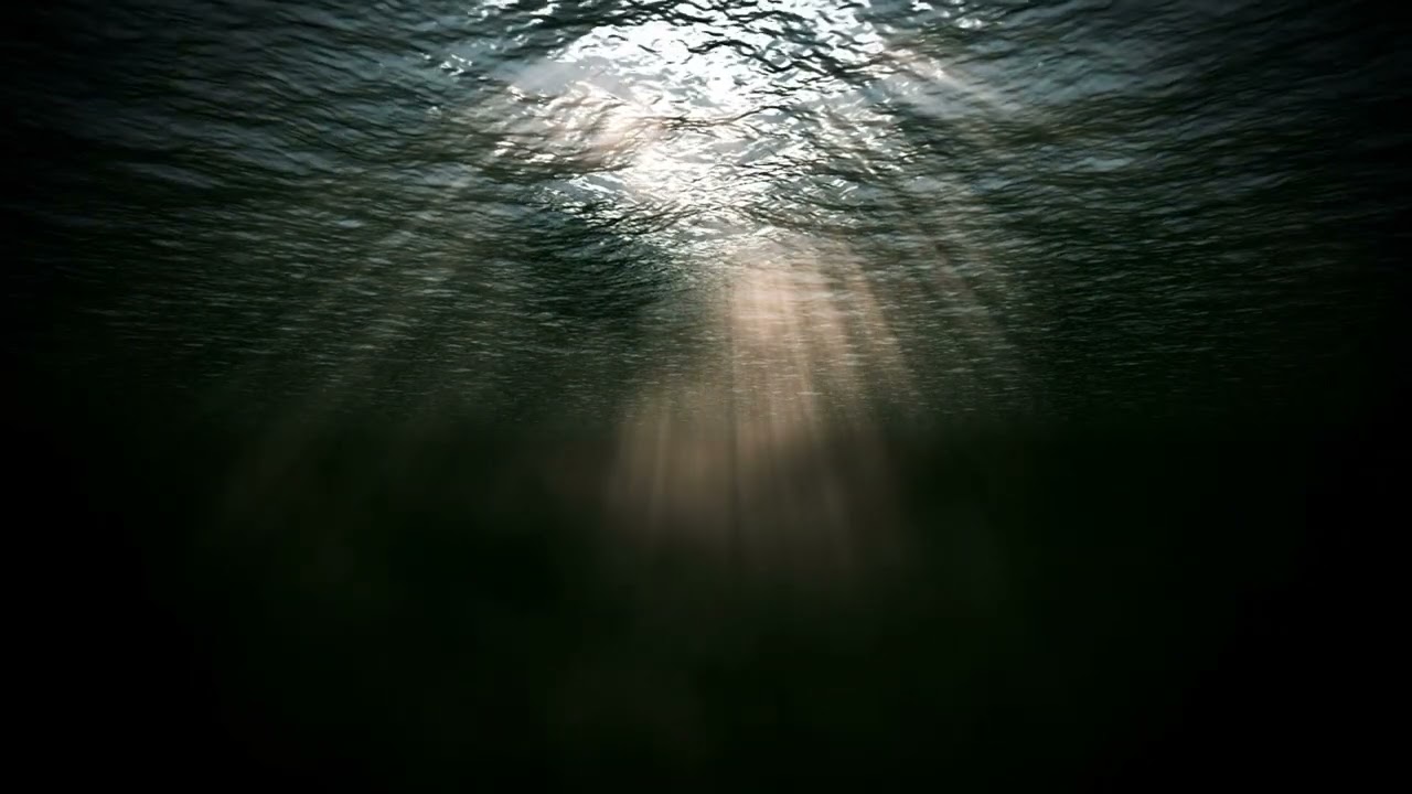 UNDER WATER FREE STOCK VIDEO #VSTOCK