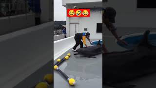 Miniature vidéo