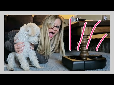 ROBOT VACUUM! | iJustine