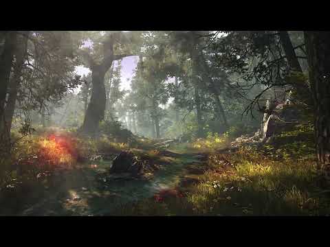 The Witcher 2 - Ambiental & Relaxing Music