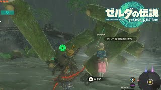 この光景をおかしいとは思わないのか．．．【ゼルダの伝説ティアーズオブキングダム】#32