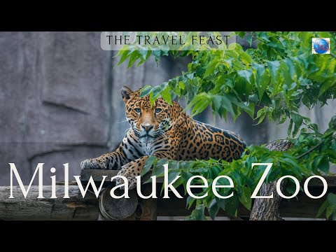 Milwaukee County Zoo | Walking Tour | Travel Guide | What to see inside zoo in Milwaukee | 4k HDR