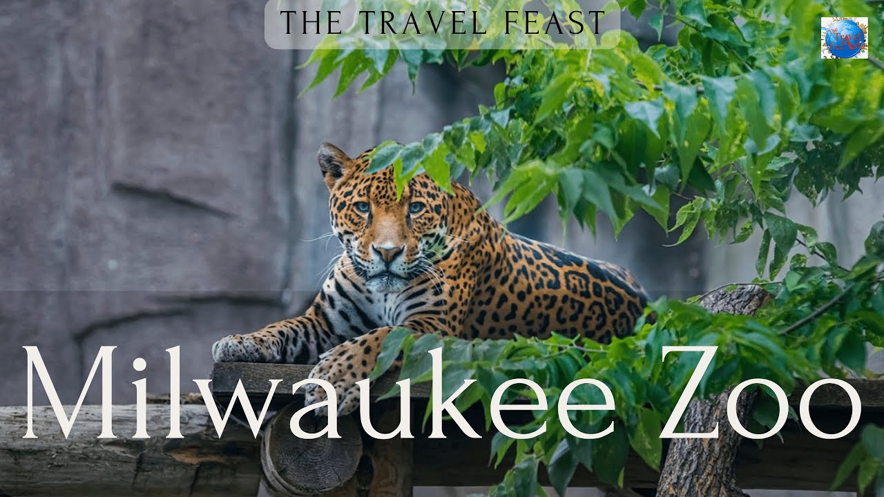 Milwaukee County Zoo | Walking Tour | Travel Guide | What to see inside zoo in Milwaukee | 4k HDR