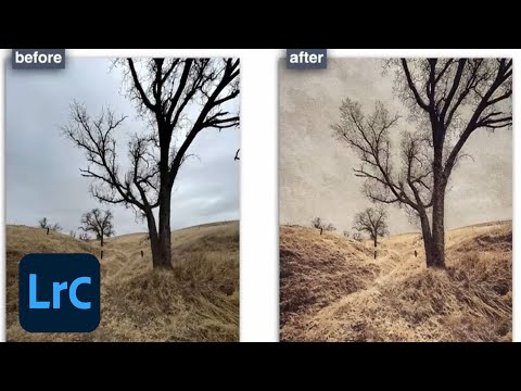 Multi-platform Photo Editing in Adobe Lightroom with Lisa Carney - 2 of 2 | Adobe Creative Cloud