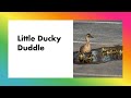 Little Ducky Duddle
