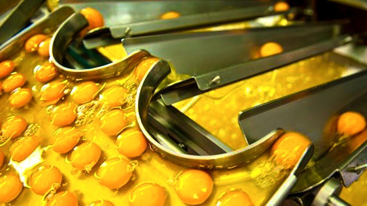 Máquinas para la industria alimentaria que están a otro nível