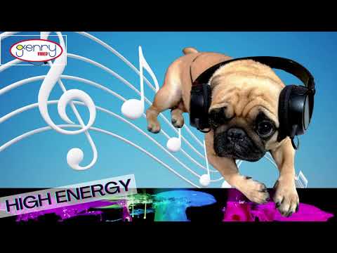MEGAMIX HIGH ENERGY Vol.5 "Mis Favoritas" / Dance Disco / TRANCE / Mix Tape 80s / Hi-NRG