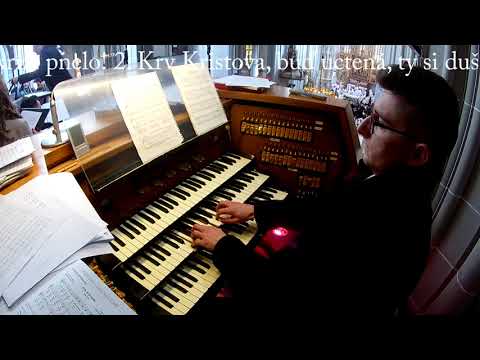 JKS 295 - Vitaj, milý Jezu Kriste (Dóm sv. Alžbety)