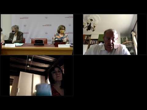 L'AAH en couple, la dépendance financière et les violences conjuguales [Audition de Mme Cluzel]