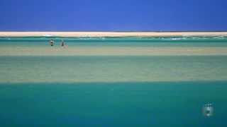 Jason Mills: 11/71 Memorial Avenue, Cotton Tree