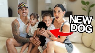 MEET OUR NEW FAMILY MEMBER! 🥹