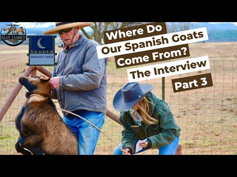 Where Do Our Spanish Goats Come From? | Part 3 of 3