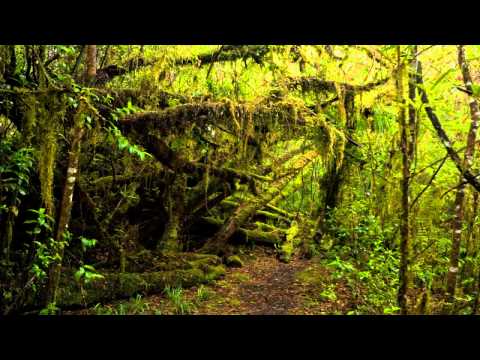 Biome - Osiris Music / Cable Promo