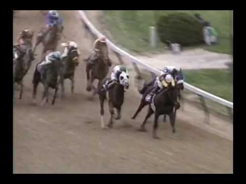 1994 Breeders' Cup Classic - Concern + Post Race