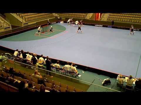 170202 Herrar Div 1 Västra Götaland Partille IBS - Stenungsunds IBK ( 11-2) HD Per1