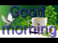Bodo Good Morning Whatsapp Status 2019 New Good Morning Video 2019 New Good Morning WhatsApp