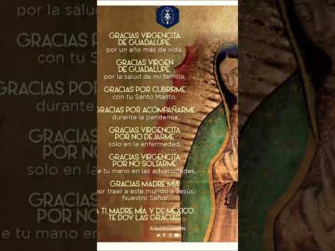 Virgen de Guadalupe #biblia #virgenmaria #maria #iglesiacatolica