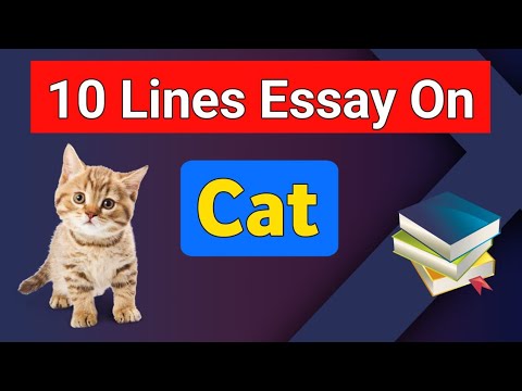 10 lines on cat in english | essay on cat in english | cat essay in english 10 lines