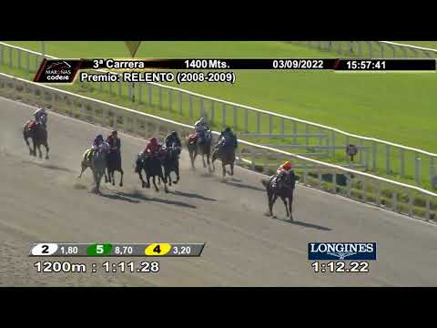 220903 c03 APACHE CAT (BRZ)