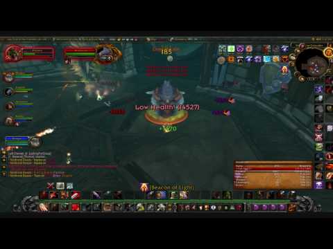 Beasts of Northrend Guide - Trial of the Crusader