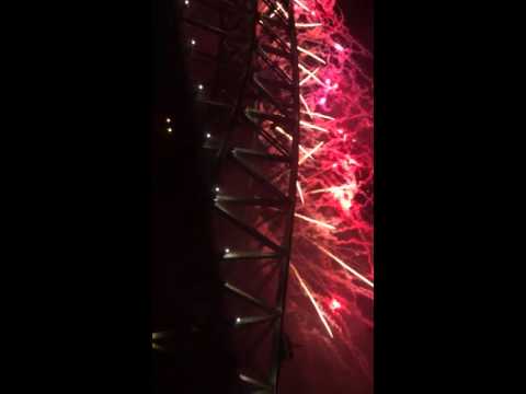 Dunn Family New Year in Sydney Harbor