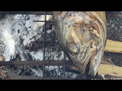 Gourmet Seafood Feast: Grilled Fish, Squids & Sea Cucumbers Breakfast | Ocean-to-Table Cooking!