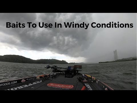 Baits To Use In Windy Conditions