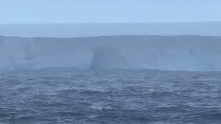 Sapphire Princess Cruise December 2023 - Iceburg (Iceberg) A23a