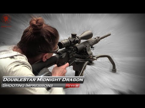 Doublestar AR15 Review