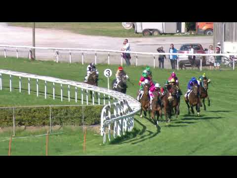 Frauenfeld/18.04.2022/Ausbildungsrennen des Schweizer Rennreiter Verbands