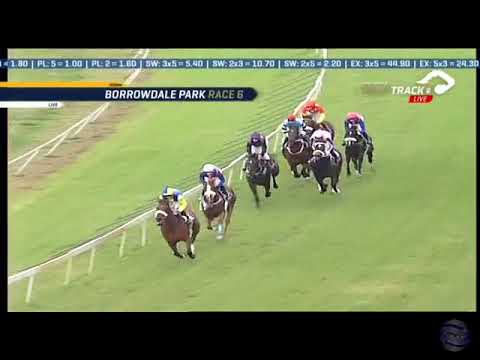 2019.03.24 Breeders Champions Cup (ZIM) - Amsterdam