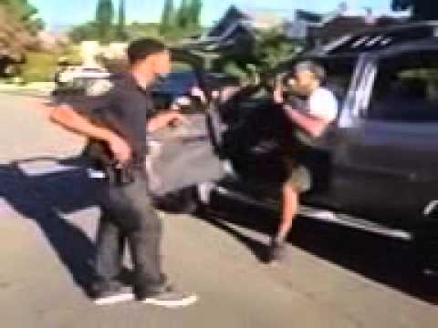 Summer 2014 Best Vine 198