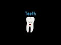 Human Body /Teeth Song/Human Body Systems