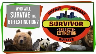 Who Will Survive The 6th Mass Extinction?