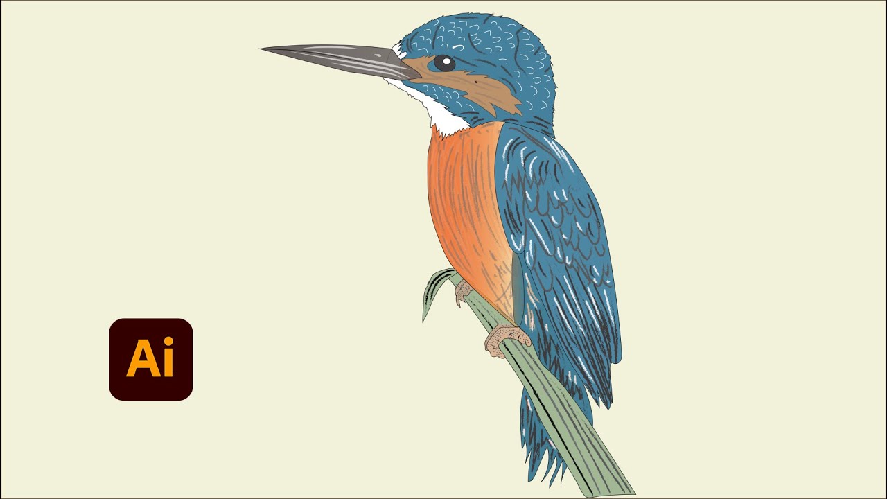 Vector Colorful Bird |  Butter Paper | Adobe Illustrator Tutorial