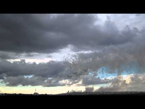 Adelfia San Trifone 2013 Finale Tagesfeuerwerk