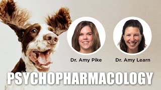 Dog Psychopharmacology - Dr. Amy Pike & Dr. Amy Learn