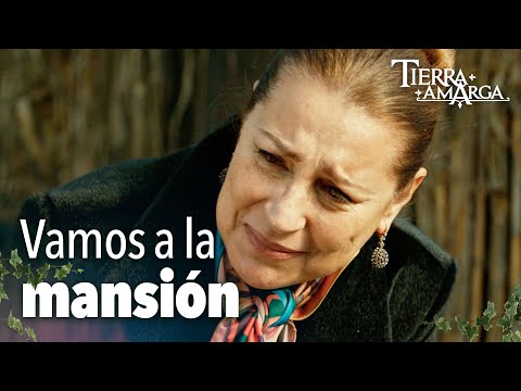 Todos están devastados - Capítulo 167