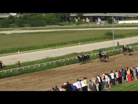 23.05.2021 - Trka 88. Trial Stakes - Hipodrom Beograd