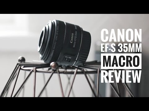 Video thumbnail for Video Review 3