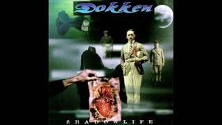 11 Dokken  -  BitterRegret