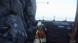 ワイルドハーツ プレイ